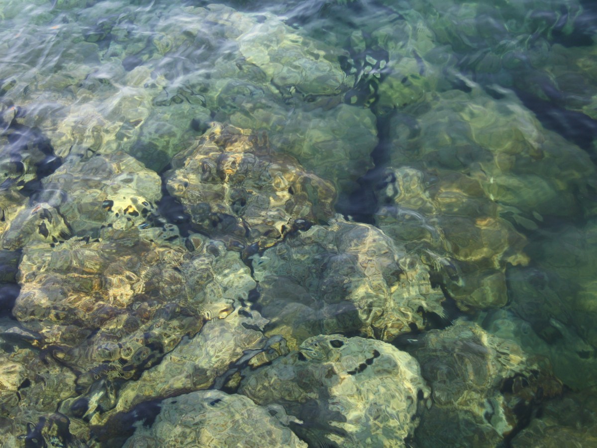 Using stories to create a better&nbsp;life